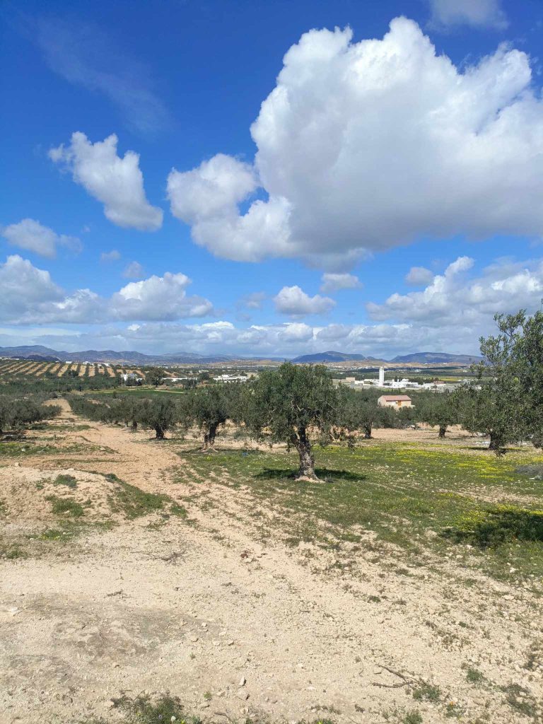 Av 3000m avec eau et &eacute;lectricit&eacute; &agrave; hammamet