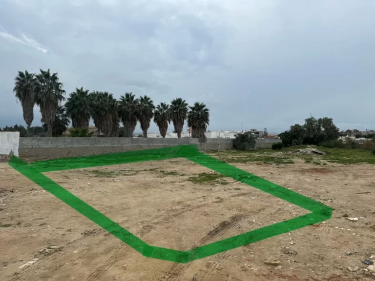 Beau terrain choutrana 2