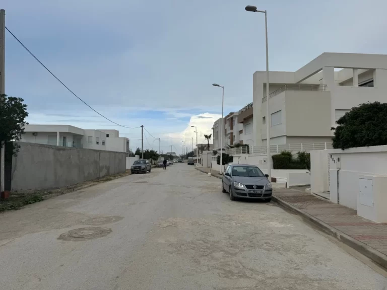 Beau terrain choutrana 2