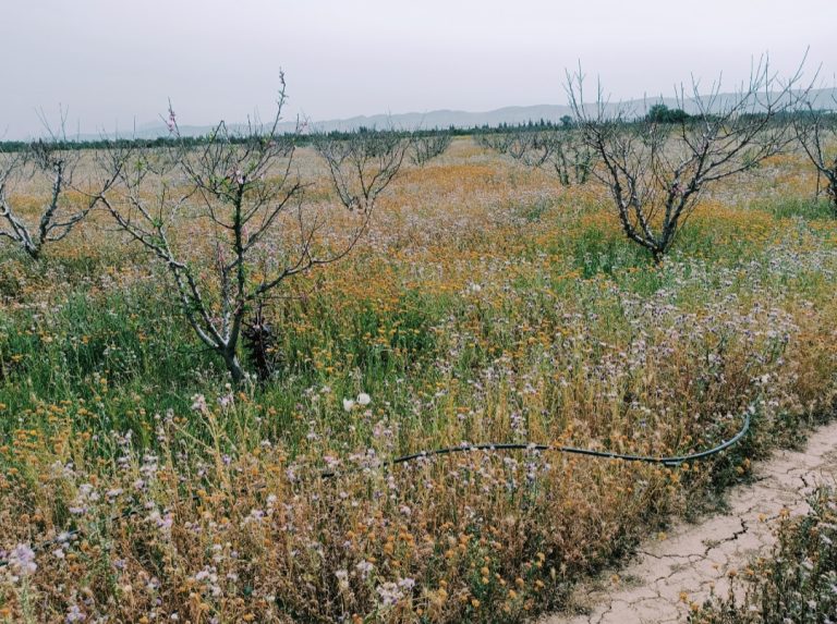 777651 20240412 123500 768x573