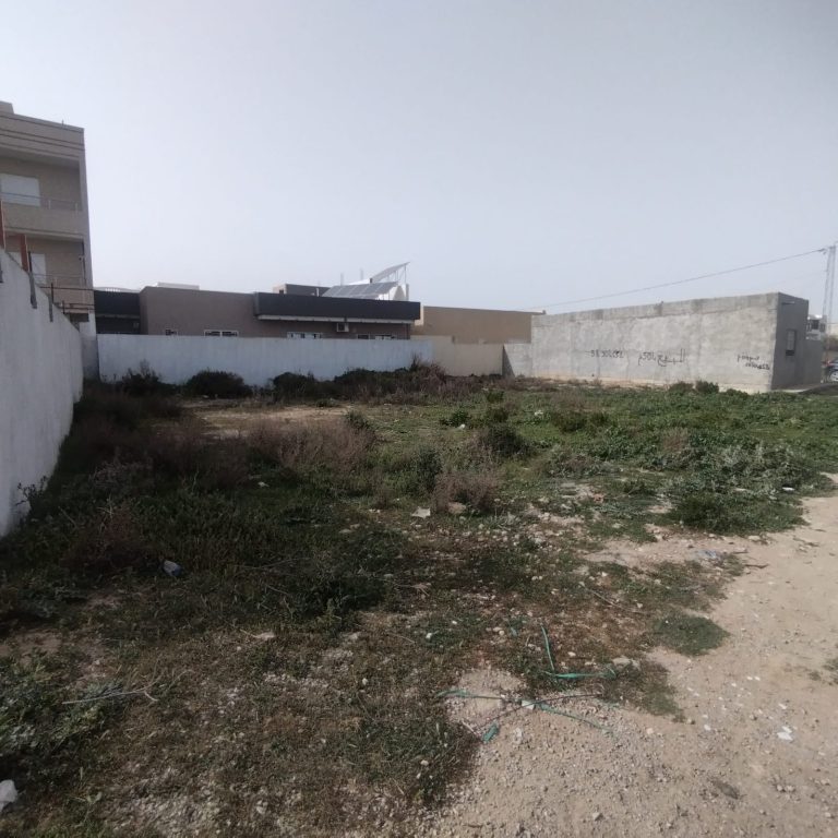 783339 20240419 161809 768x768