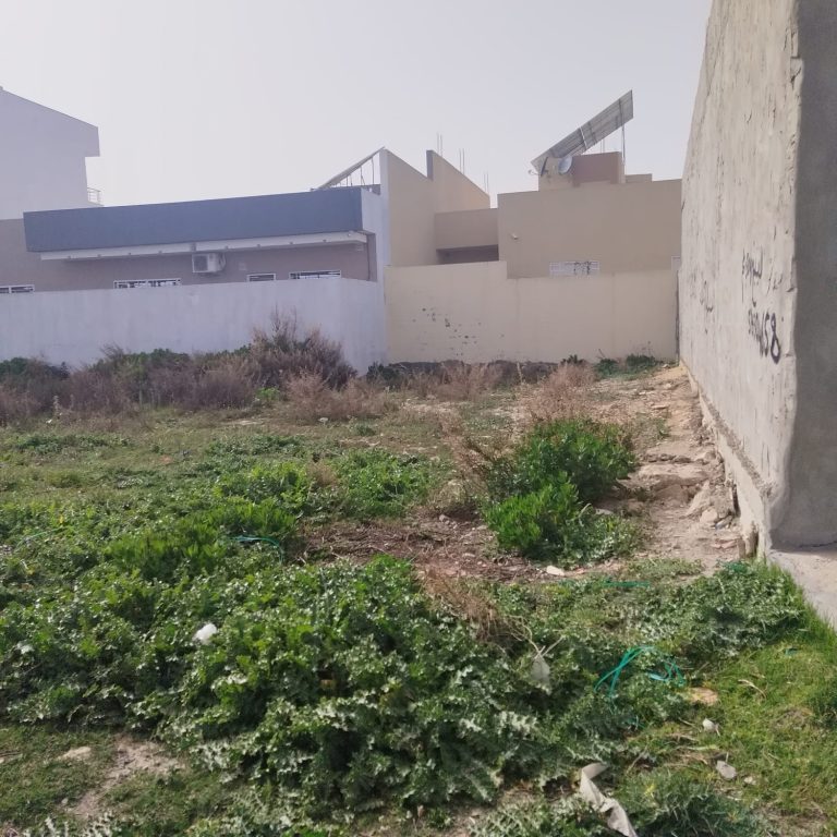Terrain a korba