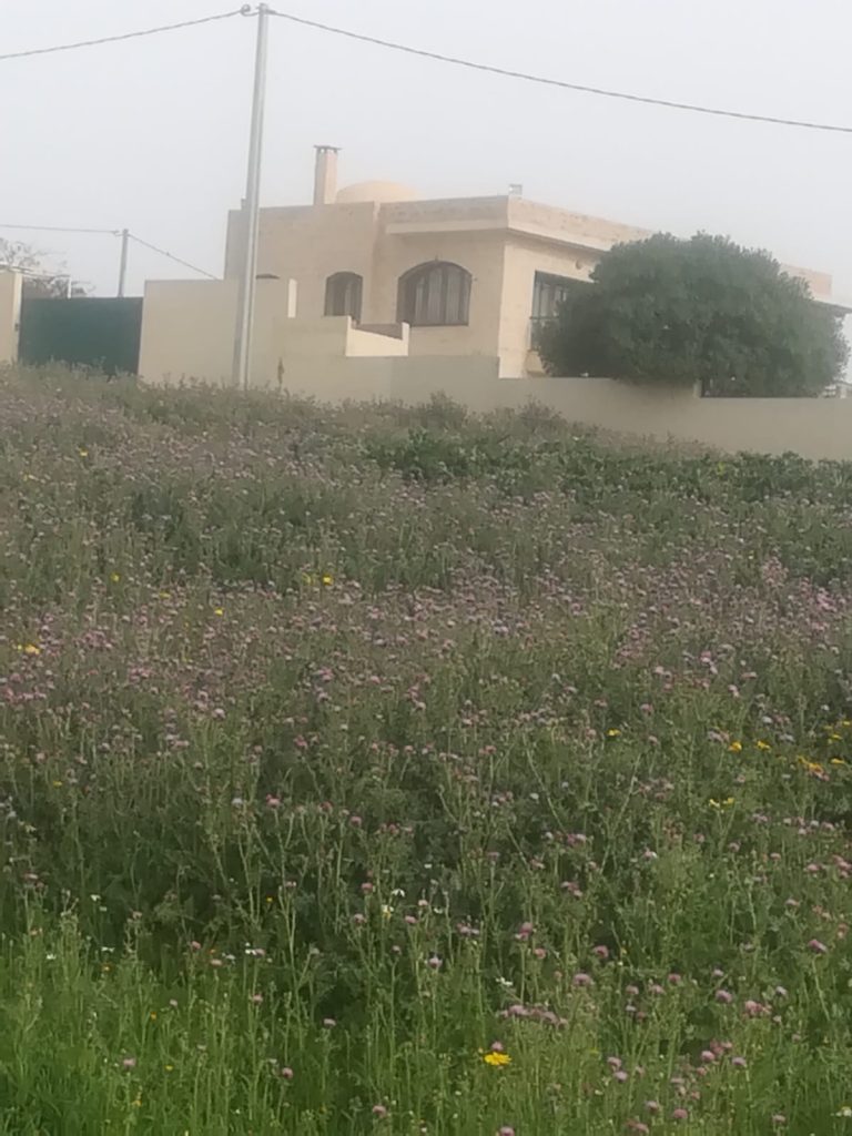 Terrain 1000 m2 &agrave; sanheja