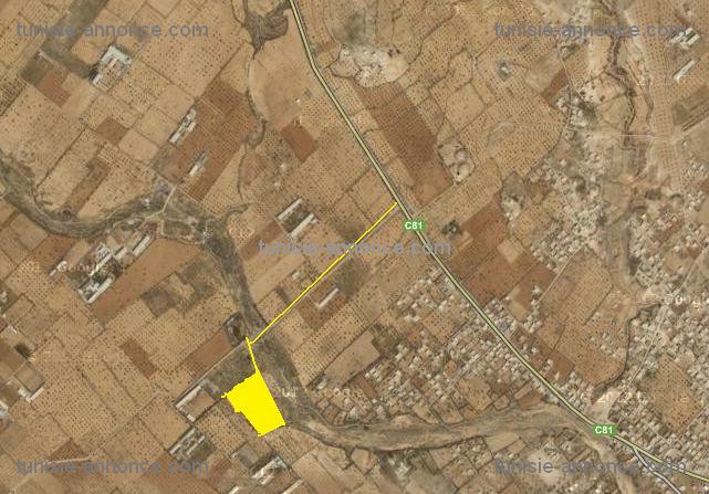 Terrain agricole route de gremda km 14