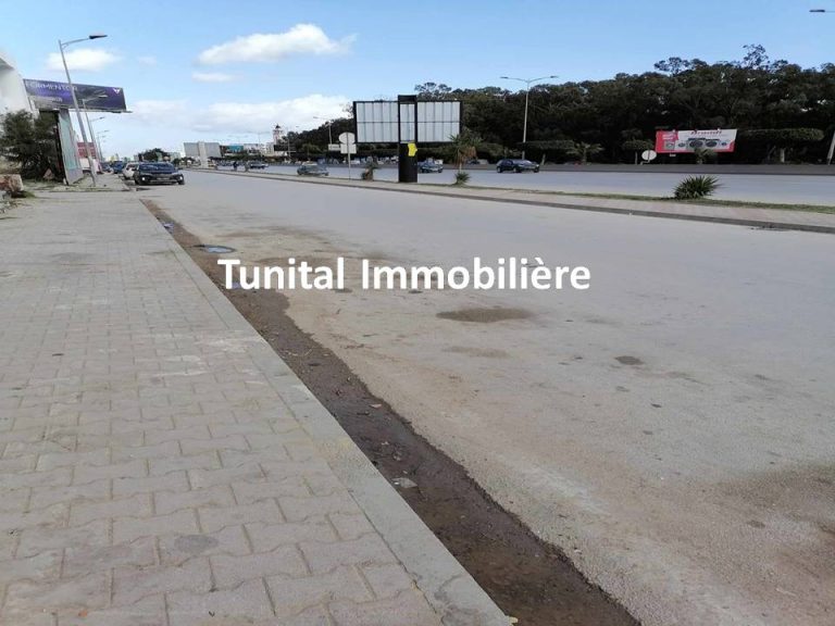 Ain zaghouan surr route principale gp9 a v terrain