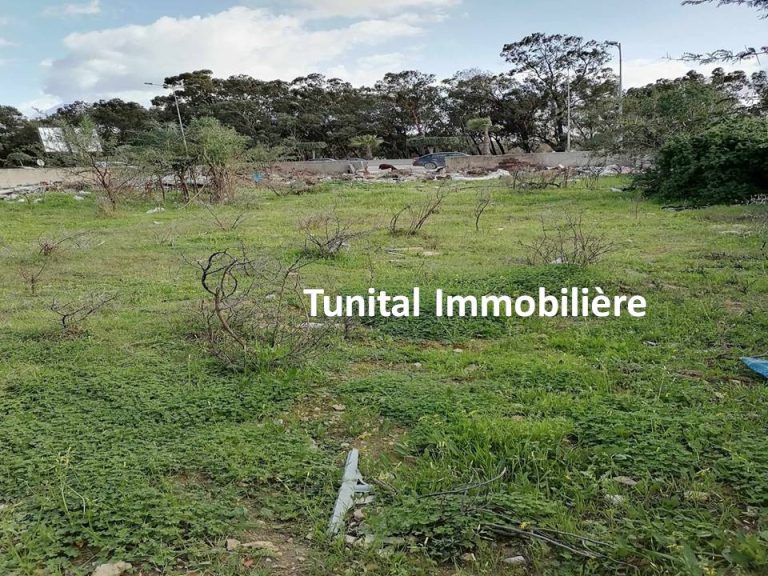 Ain zaghouan surr route principale gp9 a v terrain