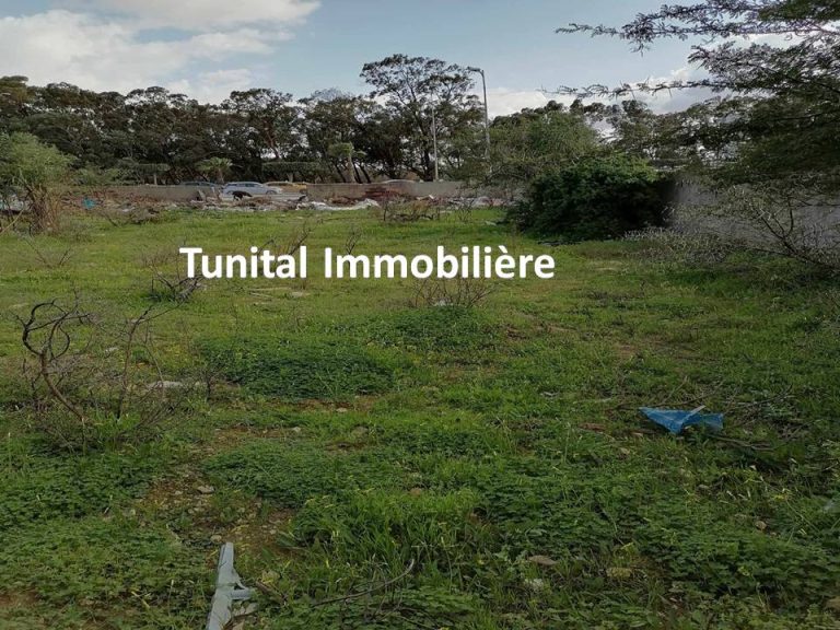 Ain zaghouan surr route principale gp9 a v terrain