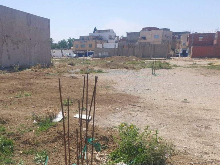 Particulier terrain &agrave; borj louzie ezzahra
