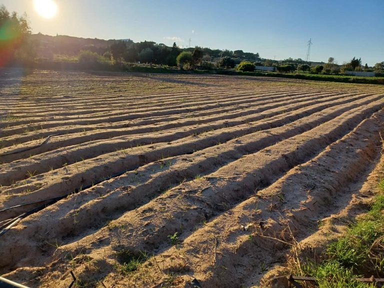 698780 20240508 093135 768x576