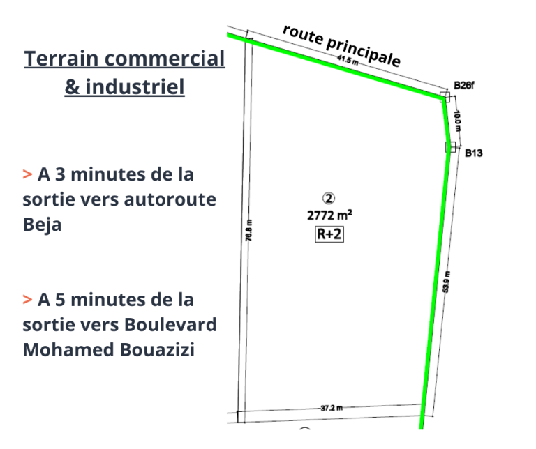 729540 20240529 135327 768x644