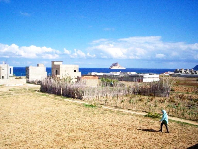 734511 20240430 213412 768x576