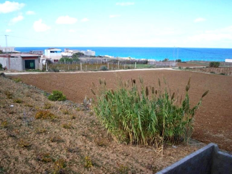 Terrain 140 m2 ain mestir rafraf