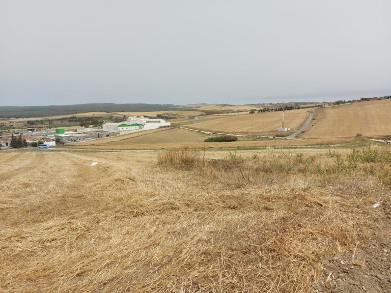 735173 20240518 105303 768x576