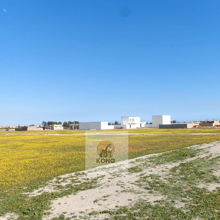 Un terrain &agrave; yasmine hammamet