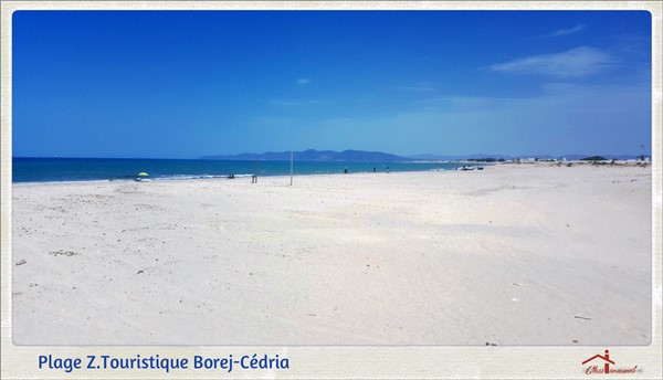 Terrain de 350 m2 pour 195 mille dinars