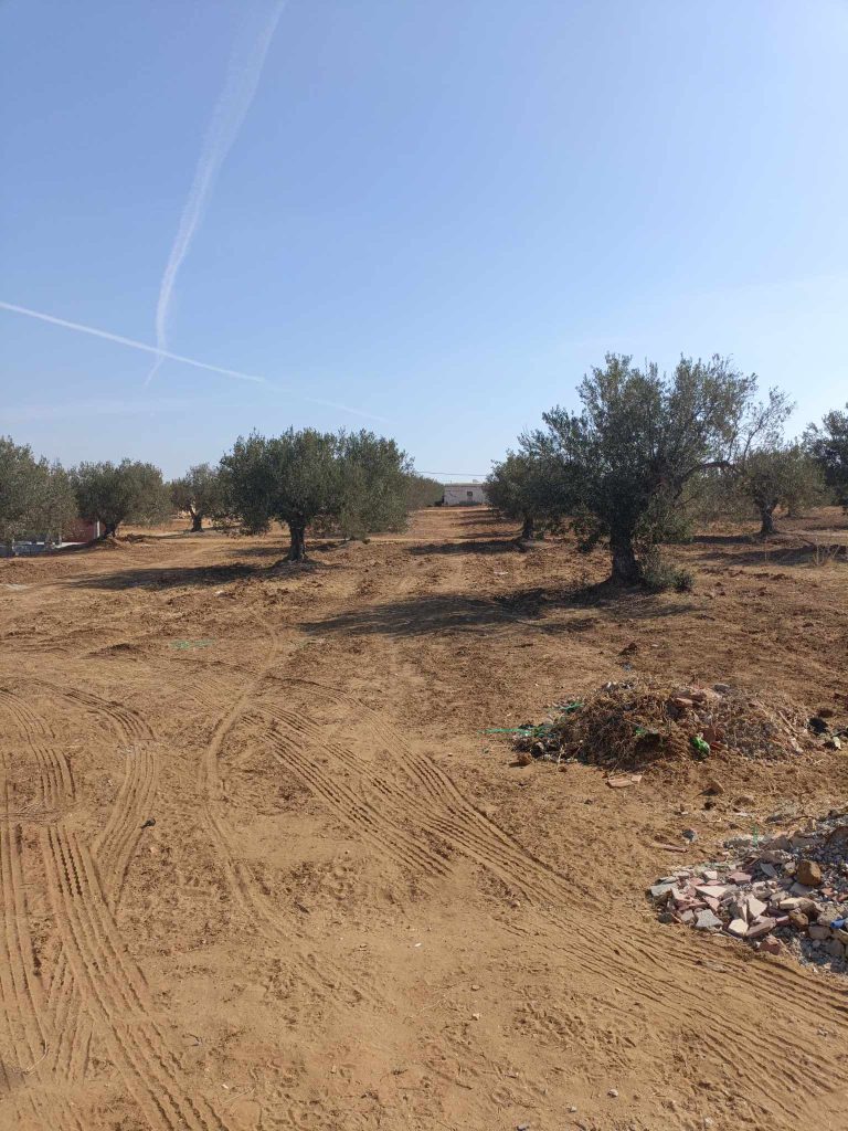 Av 500m &agrave; 45md ne pas rater &agrave; hammamet