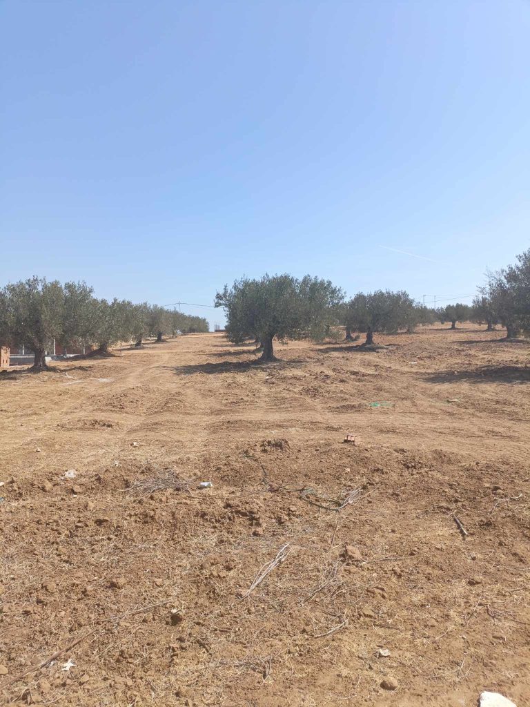 Av 500m &agrave; 45md ne pas rater &agrave; hammamet