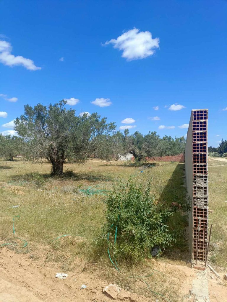 Av beau terrain 300m à 4km de hammamet yasmine