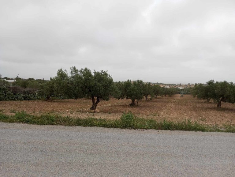 Av 4000m sur la route &agrave; hammamet sud