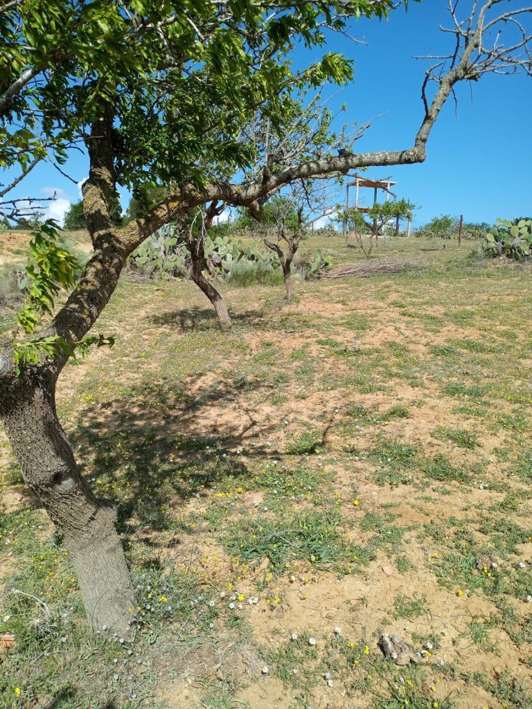 Lot de terrain magnifique a hammamet