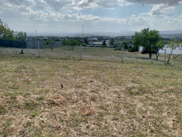 Lot de terrain magnifique a hammamet