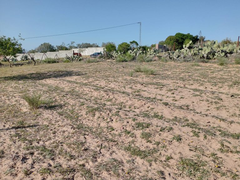 Lot de terrain magnifique a hammamet