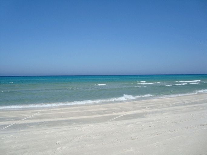 775114 20240524 125627