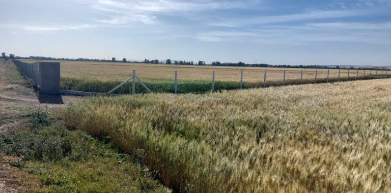 782699 20240513 131435 768x380