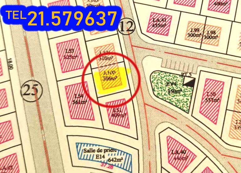 782924 20240507 151754 768x551