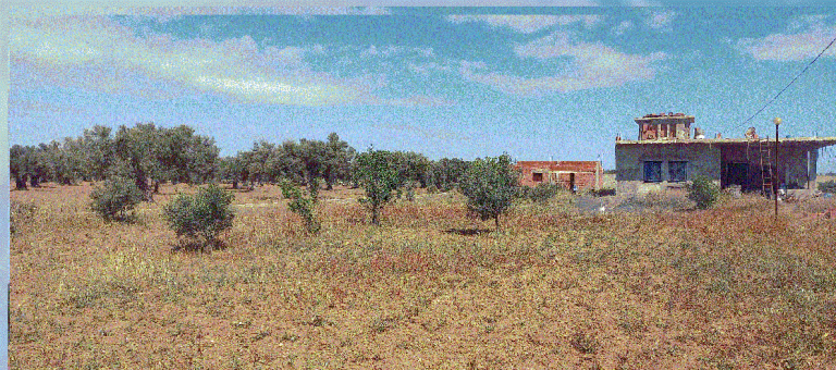 783697 20240513 012439 768x340