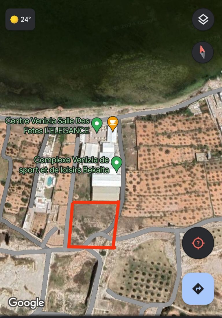 784236 20240528 122924 768x1099