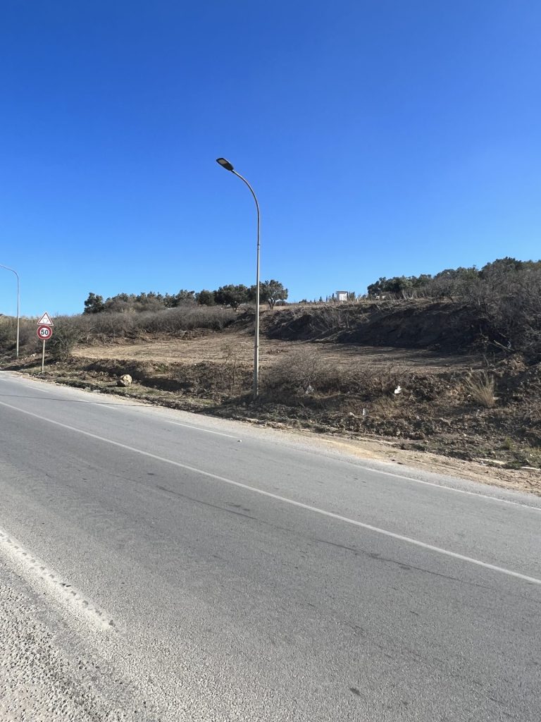 136567 20240620 202533 768x1024