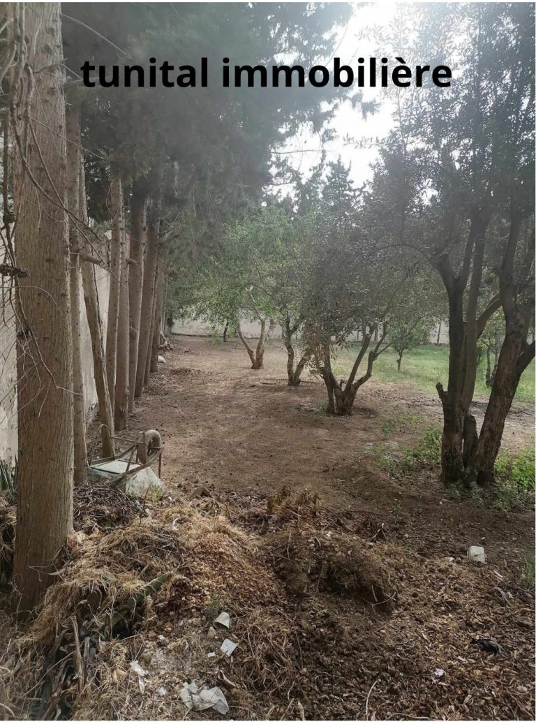 36589 20240608 132349 768x1034