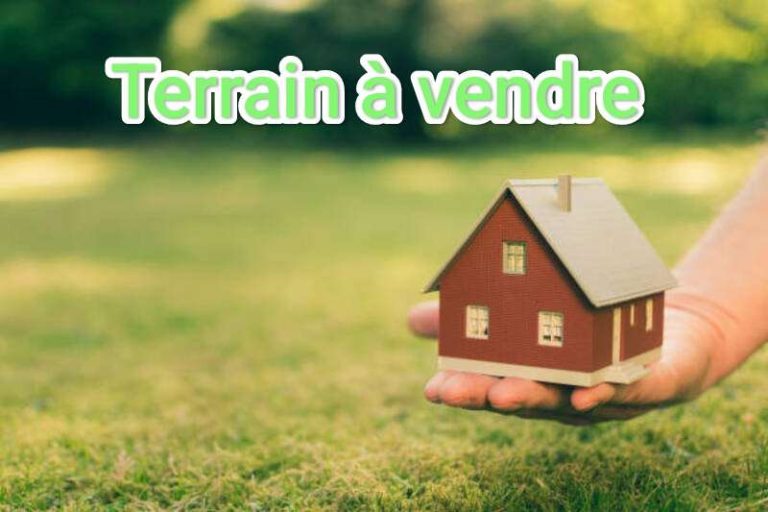 453157 20240601 121628 768x512