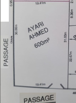 499293 20240622 234829