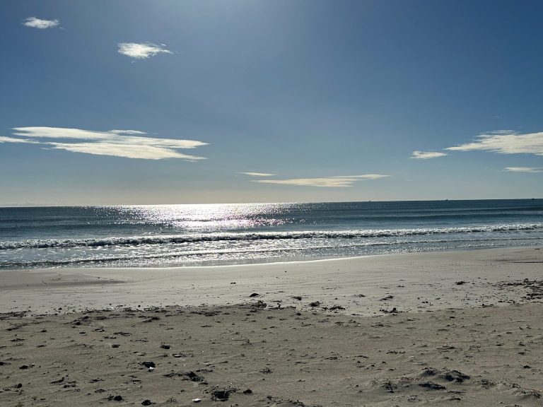 Tf 551 m2 bord de mer rejiche plage