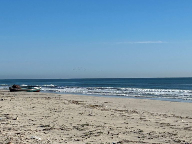 Tf 551 m2 bord de mer rejiche plage