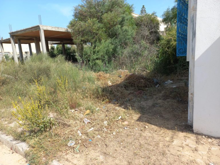 550886 20240530 125717 768x576