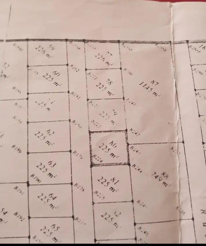 566704 20240629 011323