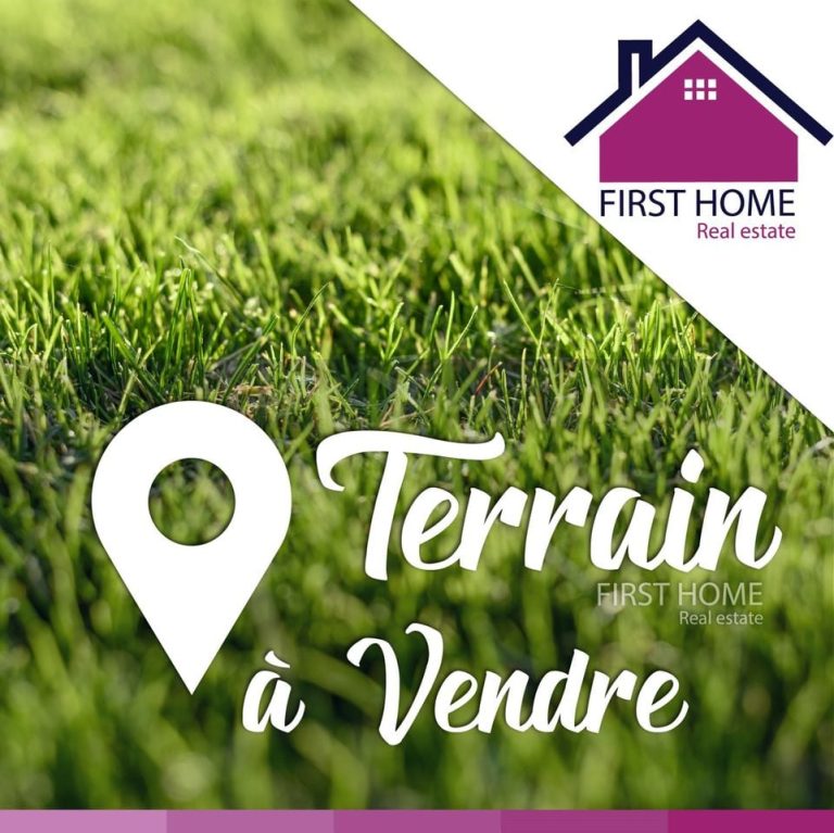 636459 20240619 155352 768x767