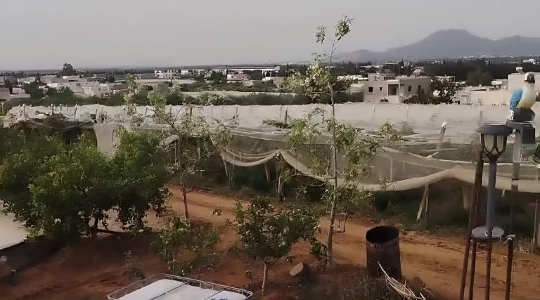 694701 20240622 011700 768x427