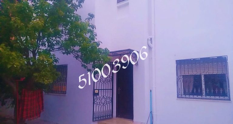 705842 20240613 182254 768x411