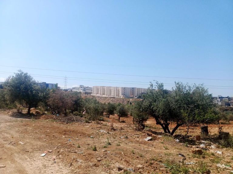 Des lots de terrains a mnihla