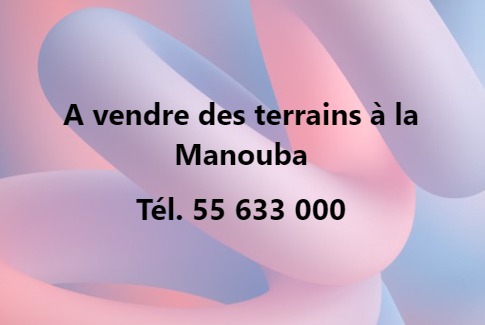 727417 20240618 131611