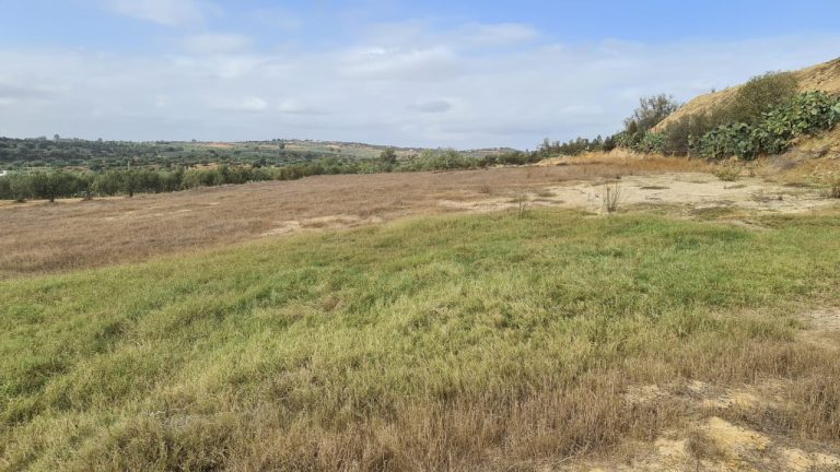 2eme terrain &agrave; ghardeya nabeul