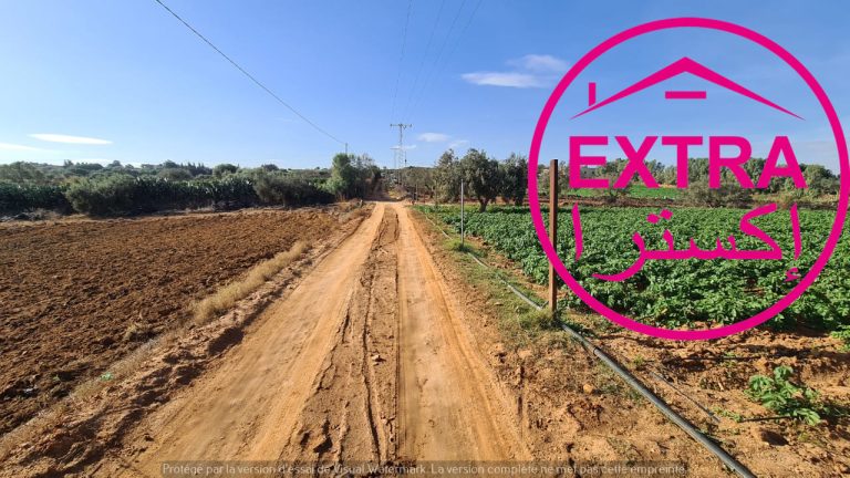 730168 20240613 122653 768x432