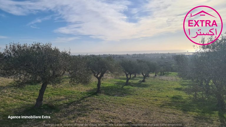 730168 20240613 123222 768x432