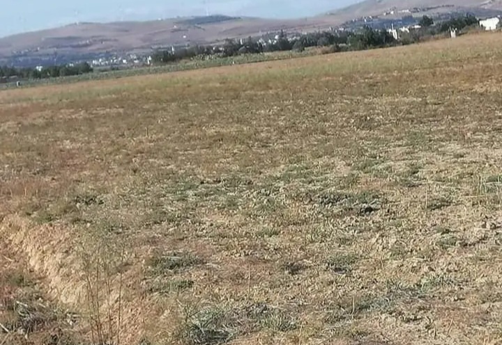 Terrain direction coco beach