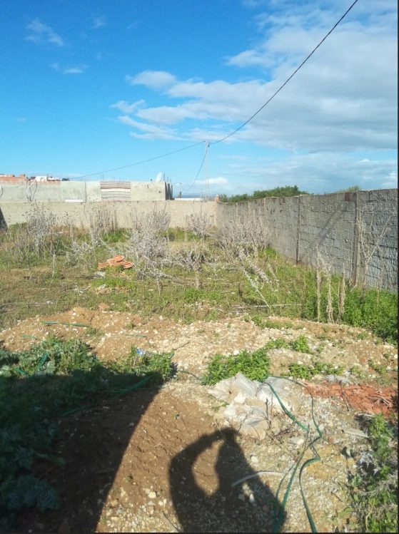 758953 20240608 144519