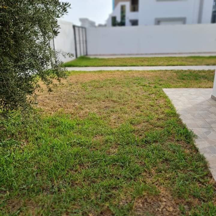 760946 20240601 133302